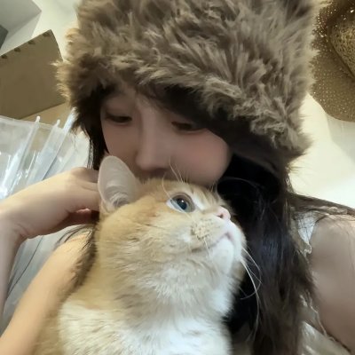 南来北往
